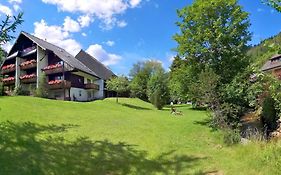 Naturidyll Am Fluss - Ferienhaus Albmatte - Grosser Garten Zum Grillen Und Entspannen-Direkt Neben Dem Radon Revitalbad Mit Sauna Und Thermalbecken