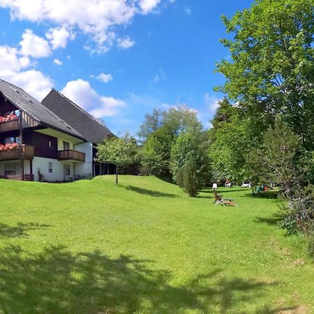 Naturidyll Am Fluss - Ferienhaus Albmatte - Grosser Garten Zum Grillen Und Entspannen-Direkt Neben Dem Radon Revitalbad Mit Sauna Und Thermalbecken St. Blasien Extérieur photo