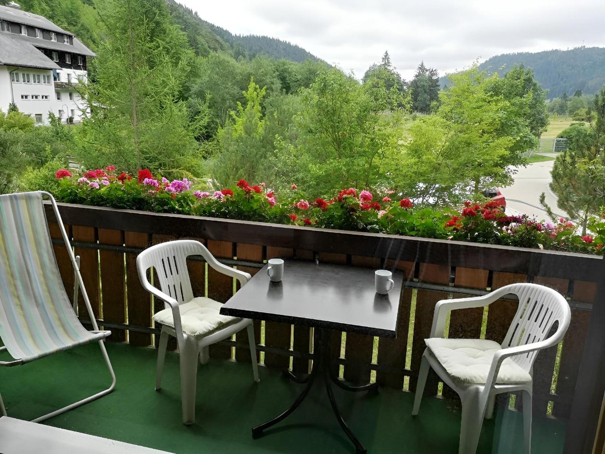Naturidyll Am Fluss - Ferienhaus Albmatte - Grosser Garten Zum Grillen Und Entspannen-Direkt Neben Dem Radon Revitalbad Mit Sauna Und Thermalbecken St. Blasien Extérieur photo