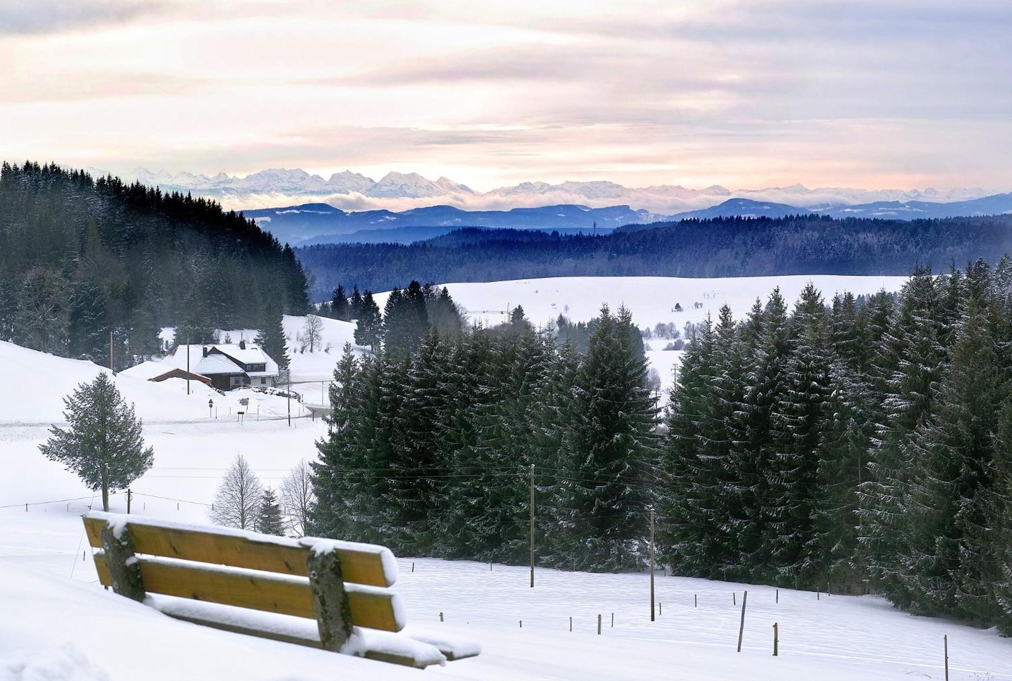 Naturidyll Am Fluss - Ferienhaus Albmatte - Grosser Garten Zum Grillen Und Entspannen-Direkt Neben Dem Radon Revitalbad Mit Sauna Und Thermalbecken St. Blasien Extérieur photo