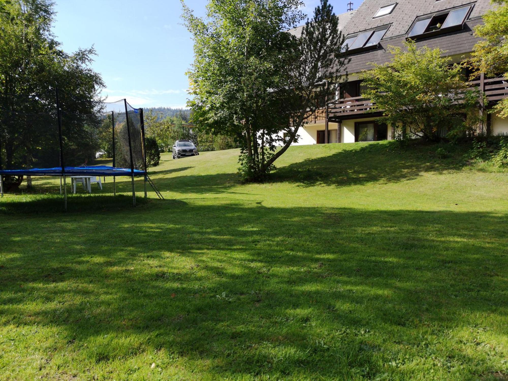 Naturidyll Am Fluss - Ferienhaus Albmatte - Grosser Garten Zum Grillen Und Entspannen-Direkt Neben Dem Radon Revitalbad Mit Sauna Und Thermalbecken St. Blasien Extérieur photo