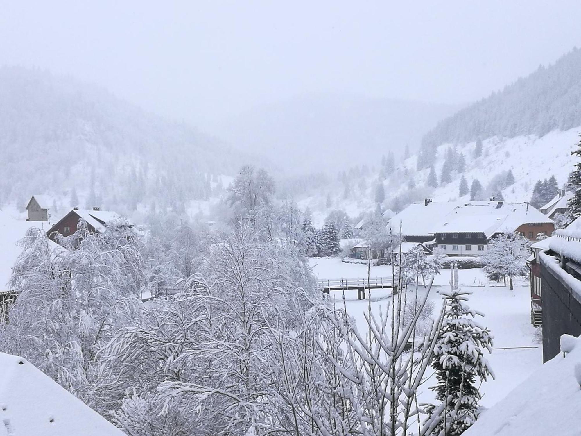 Naturidyll Am Fluss - Ferienhaus Albmatte - Grosser Garten Zum Grillen Und Entspannen-Direkt Neben Dem Radon Revitalbad Mit Sauna Und Thermalbecken St. Blasien Extérieur photo