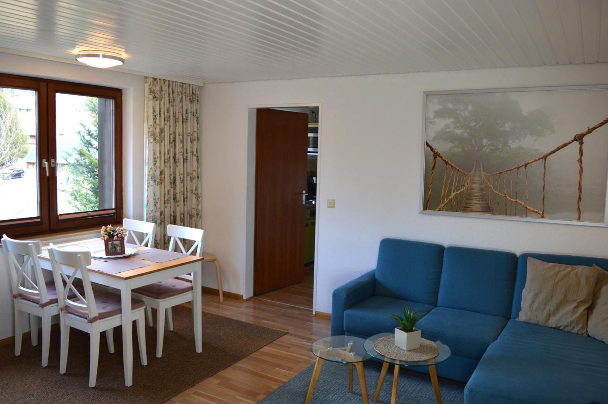Naturidyll Am Fluss - Ferienhaus Albmatte - Grosser Garten Zum Grillen Und Entspannen-Direkt Neben Dem Radon Revitalbad Mit Sauna Und Thermalbecken St. Blasien Extérieur photo