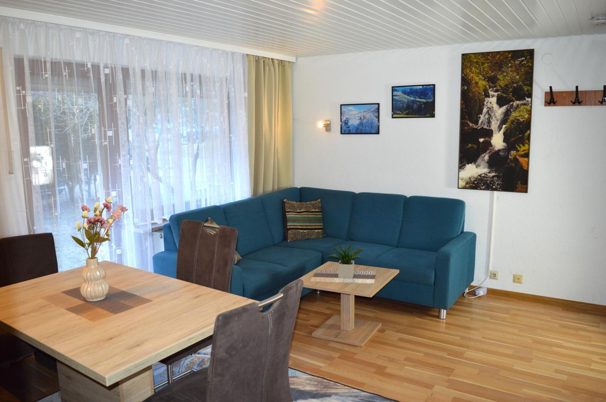 Naturidyll Am Fluss - Ferienhaus Albmatte - Grosser Garten Zum Grillen Und Entspannen-Direkt Neben Dem Radon Revitalbad Mit Sauna Und Thermalbecken St. Blasien Extérieur photo