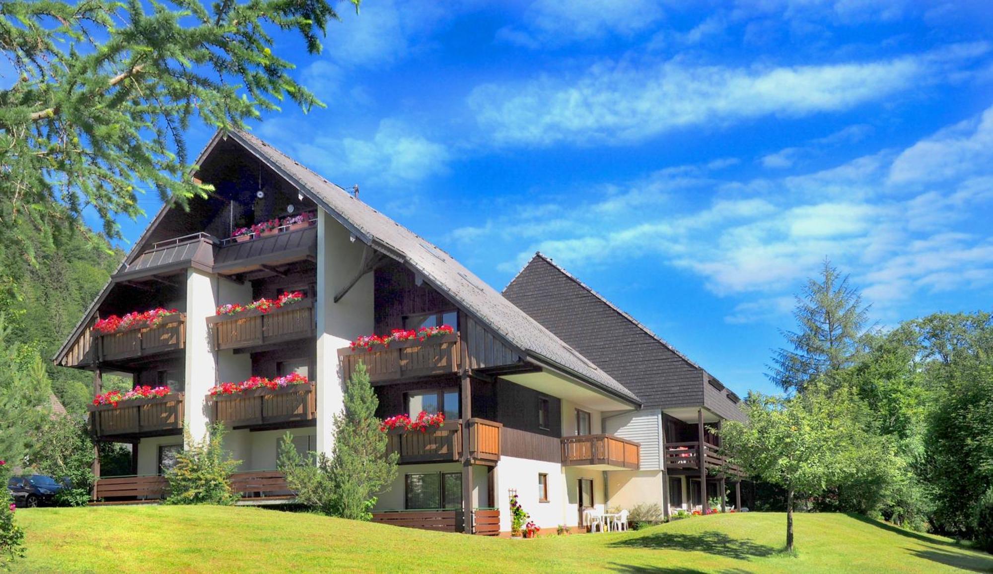 Naturidyll Am Fluss - Ferienhaus Albmatte - Grosser Garten Zum Grillen Und Entspannen-Direkt Neben Dem Radon Revitalbad Mit Sauna Und Thermalbecken St. Blasien Extérieur photo